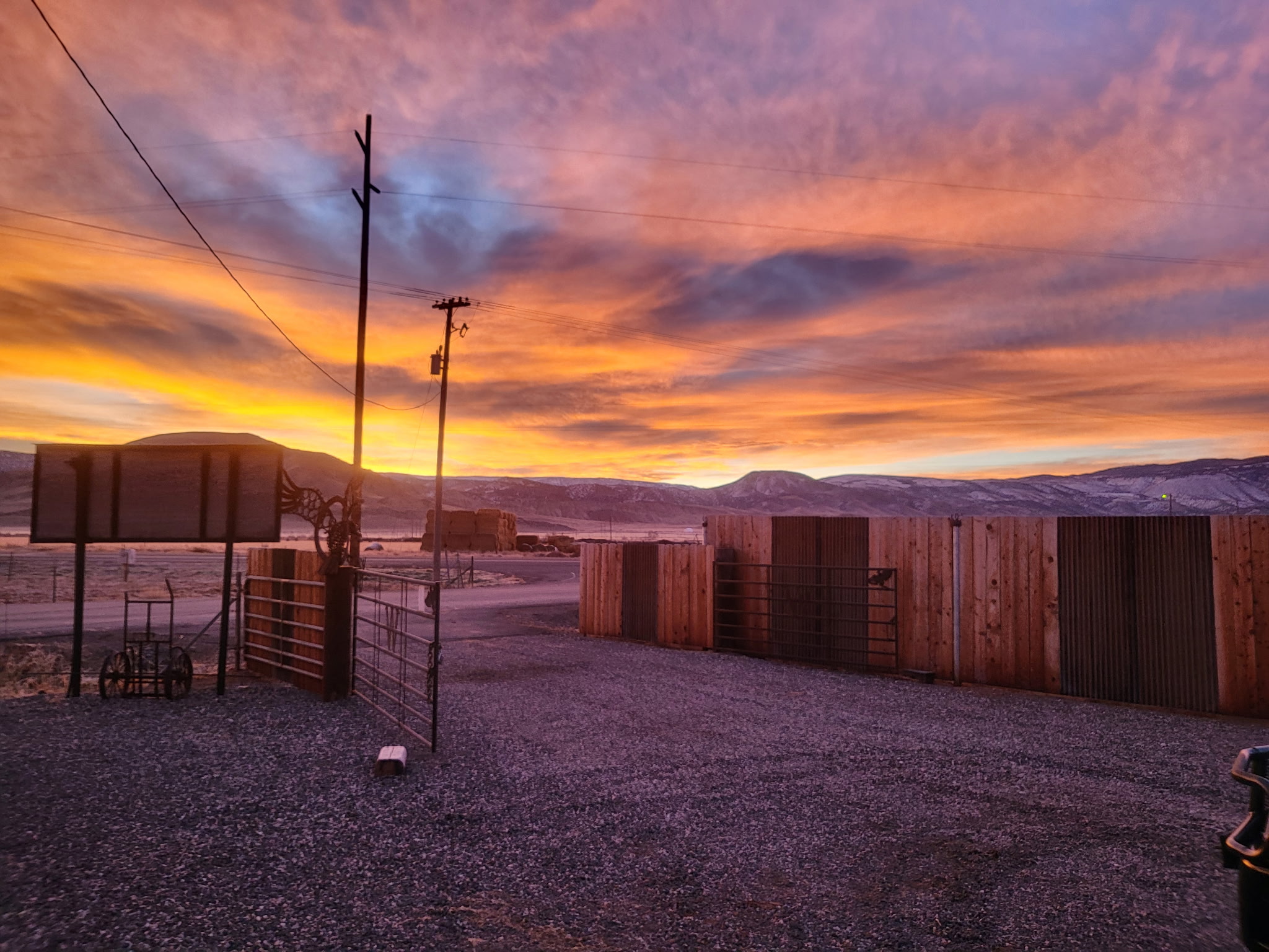 cinematic wide angle shot of a cattle ranch at sunrise, cattle grazing in misty pastures, golden light, rustic, atmospheric